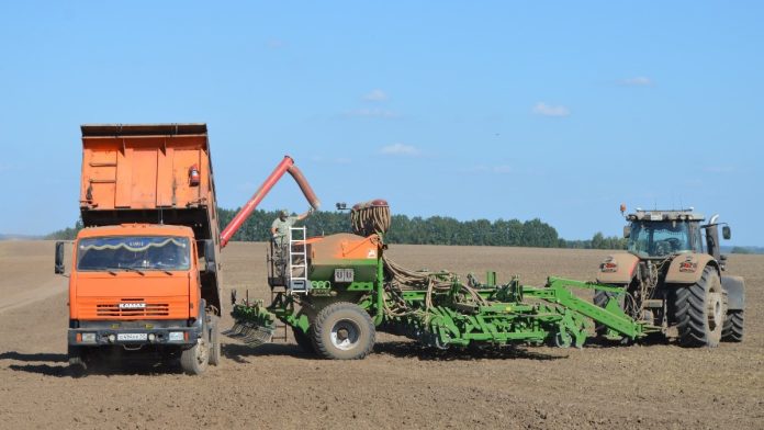 сев озимых. Старожилово.3.09.25