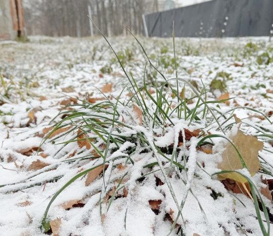 Небольшой снег и до -19°С ночью обещают рязанцам 2 января