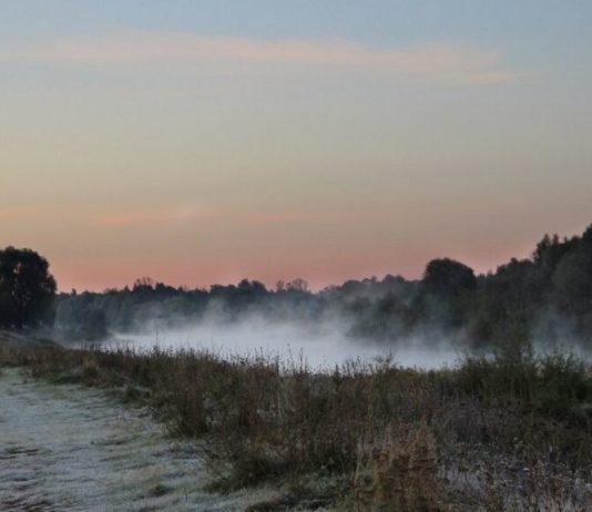 Туман и гололедицу обещают синоптики рязанцам в понедельник