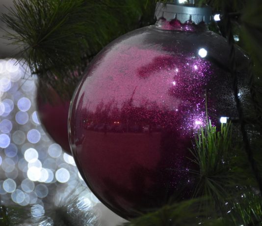 В Рязанской области планируют отказаться от салютов на Новый год