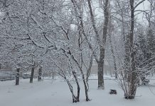 До -10°С похолодает в Рязанской области к вечеру воскресенья