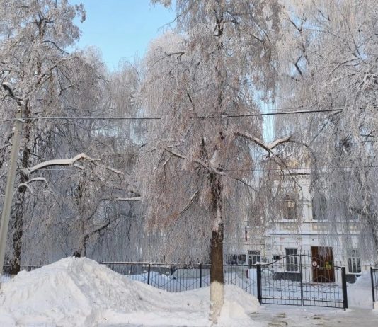 8 февраля в Рязанской области температура воздуха понизится до -15°С