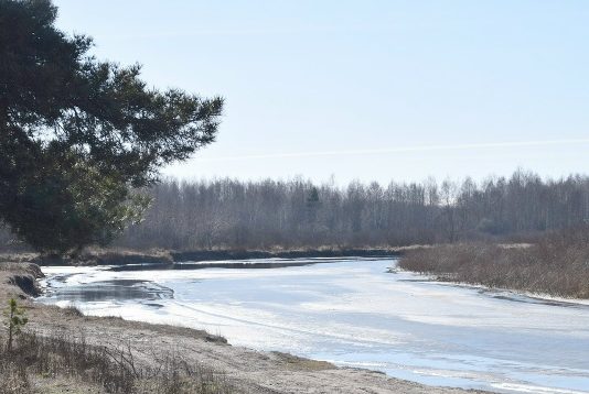 10 марта в Рязанском области потеплеет до +6°С