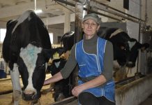 Животноводы старожиловского колхоза (СПК) имени Ленина перешагнули трехтысячный рубеж по молоку