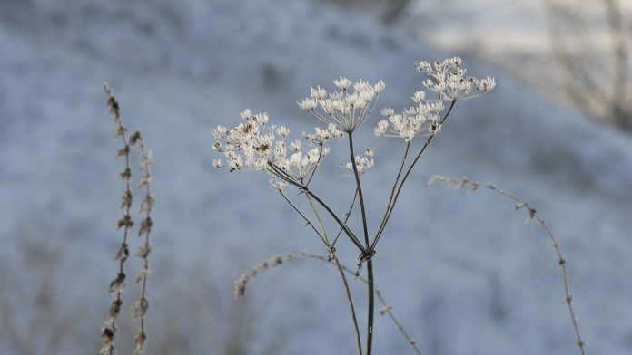 погода_март_2026