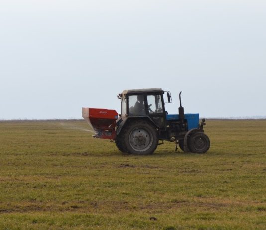 Старожиловские аграрии подкармливают озимые и многолетние травы