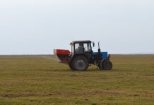 В старожиловском ООО «Рязанские сады» подкормили многолетние травы и часть посевов озимых зерновых