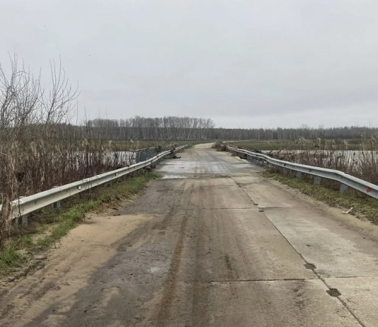 Возле старожиловской деревни Бутырки открыли движение по мосту через Проню