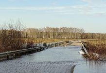 В старожиловскую деревню Бутырки люди переправляются через реку Проню на лодке
