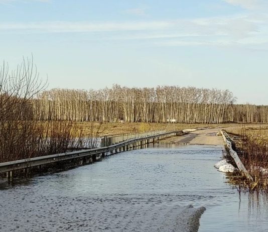 В старожиловскую деревню Бутырки люди переправляются через реку Проню на лодке