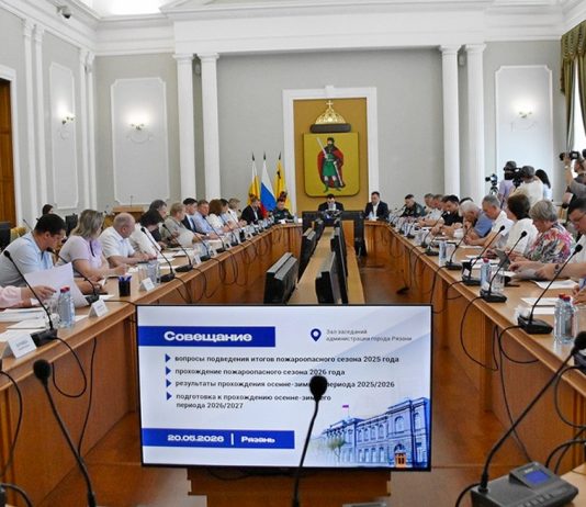 В лесах Рязанской области с начала сезона произошел один пожар