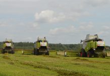 В Старожиловском округе намолотили первые сотни тонн нового урожая