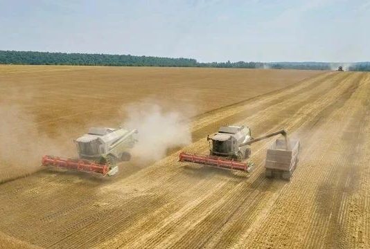 Рязанские аграрии собрали миллион тонн зерна