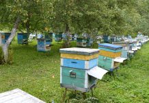 Вниманию пчеловодов! АО «Имени Куйбышева» будет обрабатывать поля в Старожиловском округе