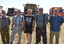 В старожиловском ООО «Привольное» обмолачивают озимую пшеницу «виолу»