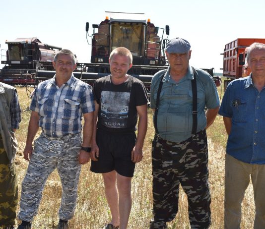 В старожиловском ООО «Привольное» обмолачивают озимую пшеницу «виолу»