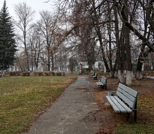 28 сентября в Рязанской области будет дождливо